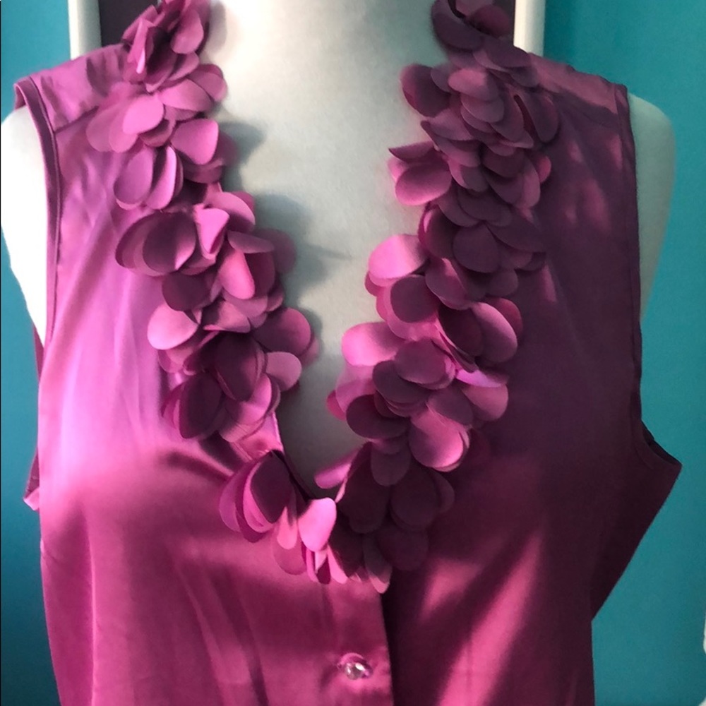 Ann Taylor Dressy Blouse